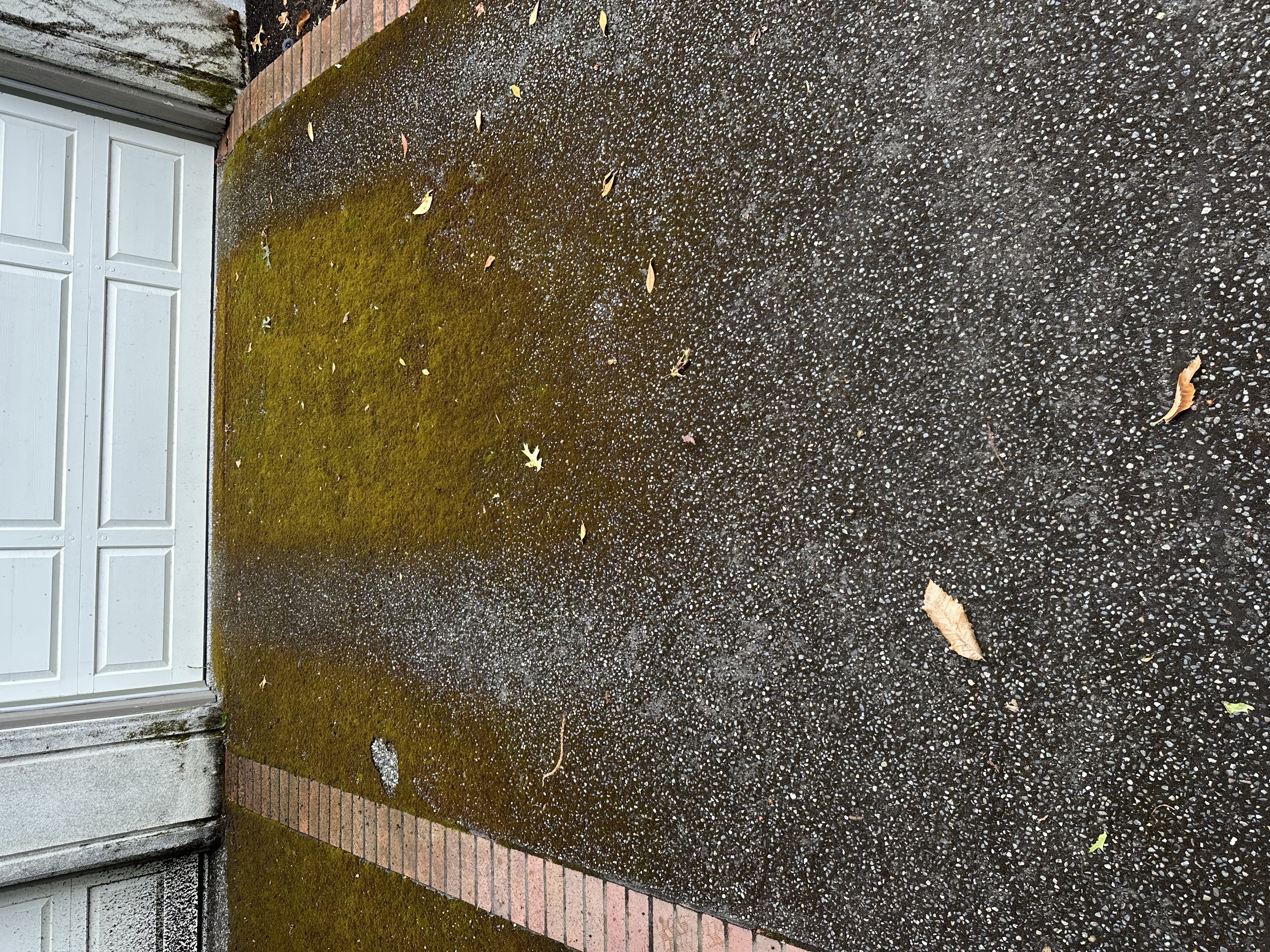 Driveway cleaning before
